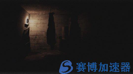 《Paranormal  VHS》登陆steam  VHS摄录系恐怖新游(paranormal是什么意思)