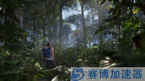 全新丛林景观
