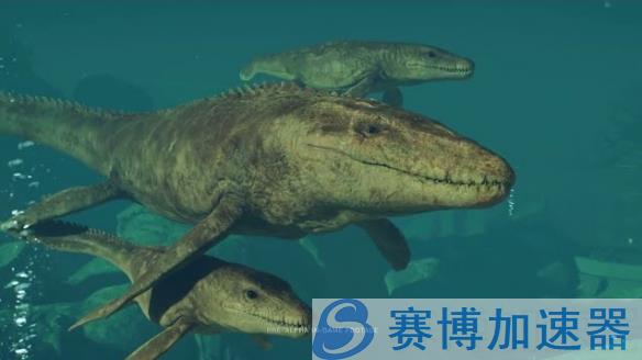 园区经营系统展示