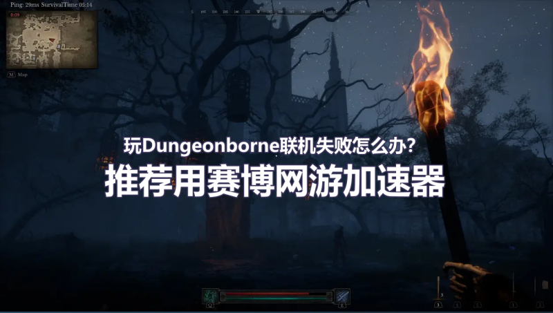 玩Dungeonborne就用赛博加速器.png